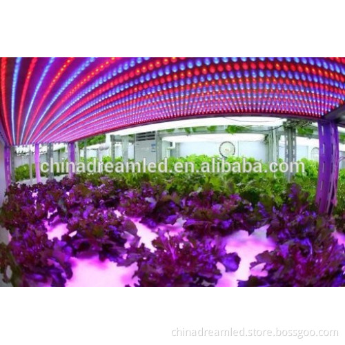 Hot sale 3 years warranty 730nm 850nm 940nm 1W 3W high power 850nm high watt infrared led